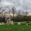 IMG 2444