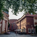 IMG 4125