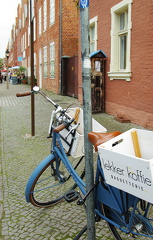 IMGP5869