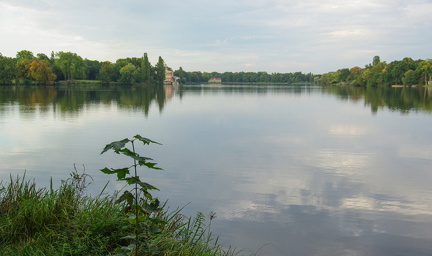 IMGP5849
